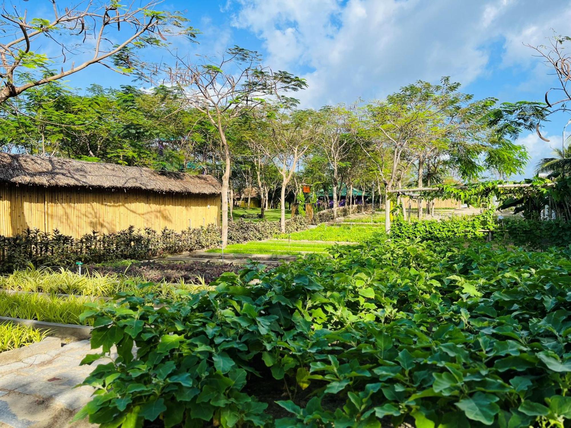 Ttc Van Phong Bay Resort - Himalaya Sauna & Steam Retreat Included Ấp Ninh Hòa  Exterior foto